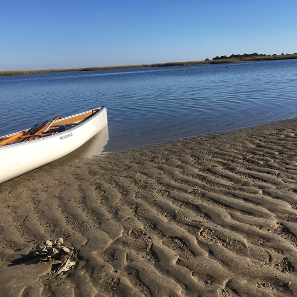 Meet your Posher, Sue - Picture 6 of 8